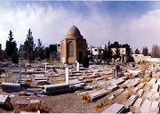 سید زین العابدین طباطبائی ابرقوئی